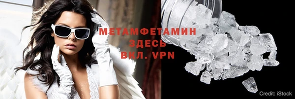 прущие грибы Беломорск