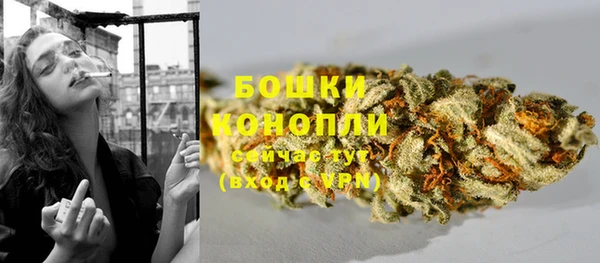 гидра Белокуриха